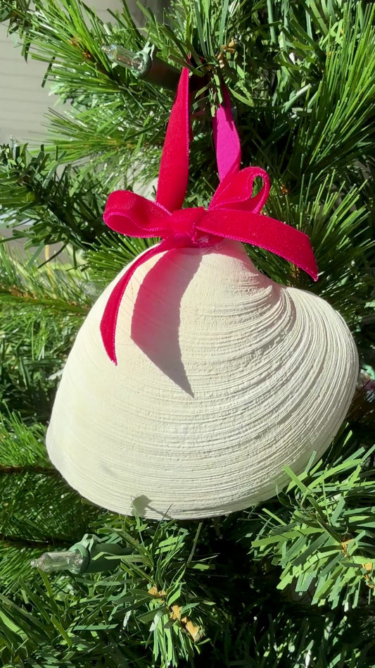 Seashell Ornament